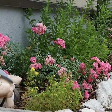 Διαμέρισμα Koell Aich (Styria)